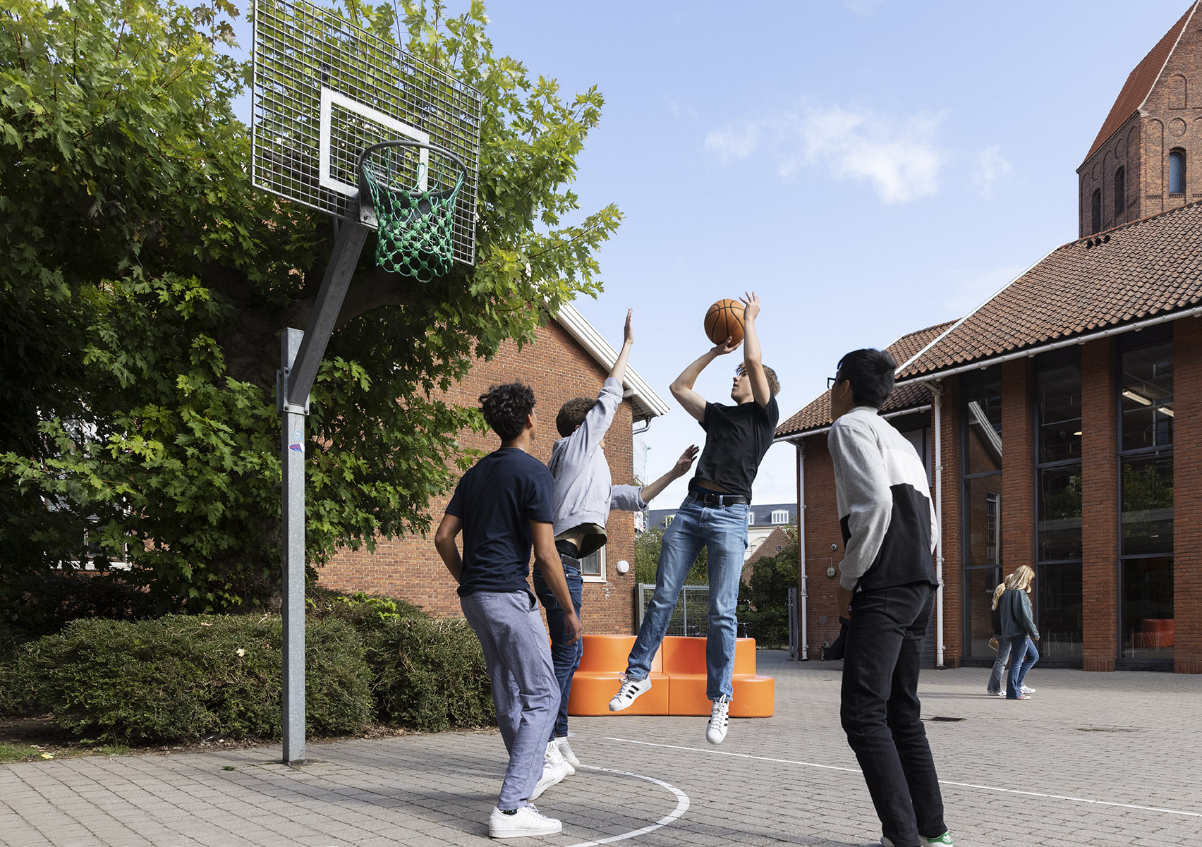 Vibenshus - basketball.jpg